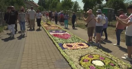 Tradycja, która ma co najmniej 200 lat. Spycimierz przykryty kwietnymi dywanami z okazji Bożego Ciała