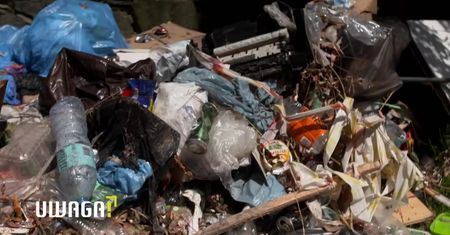 Urzędnicy chcą eksmitować małżeństwo emerytów z powodu pięciu kotów. “To bezpodstawne nękanie”