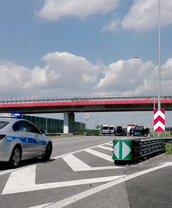 Odwołania w policji po bójce na A1. Odchodzi zastępca łódzkiego komendanta