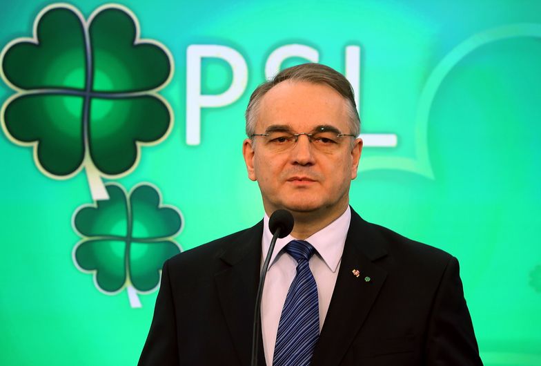 Pawlak chce odejść z rządu, a Piechociński namawia go do zostania