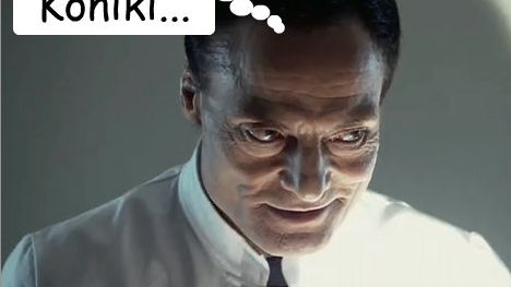 Moje małe koniki w odwiedzinach u dr. Heitera 1