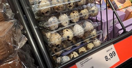 Wybierz te jajka zamiast kurzych. Teraz są w Aldi w dobrej cenie
