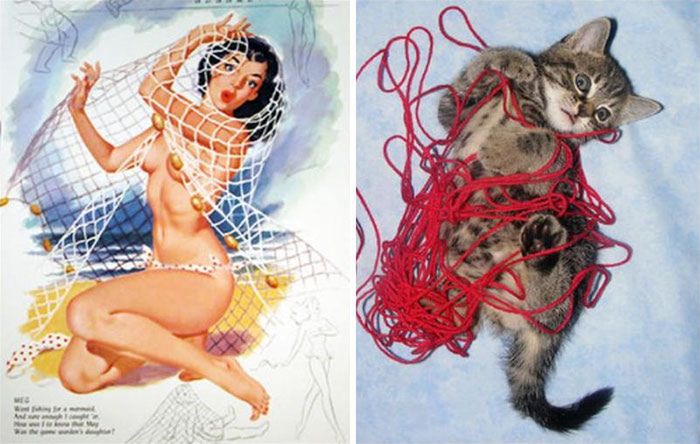 Koty, które pozują jak dziewczyny pin-up z dawnych amerykańskich plakatów 6