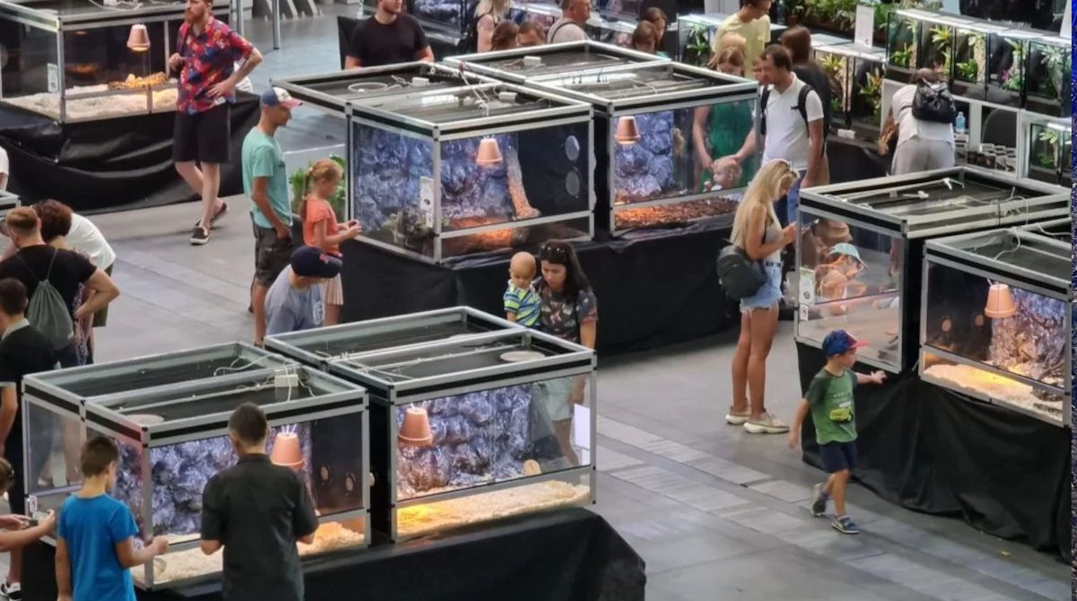 Święto terrarystyki i egzotycznych pasji.