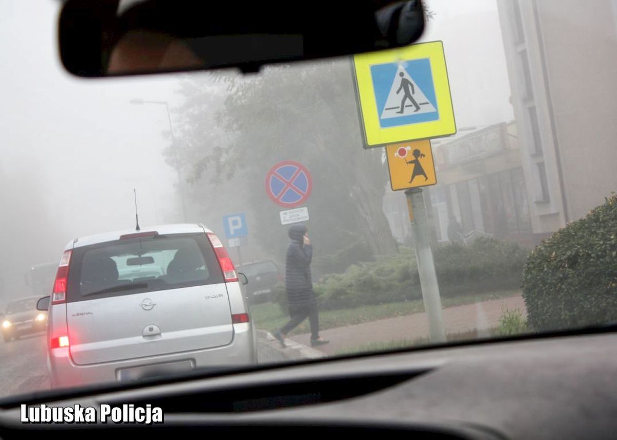 Sejm przyjął poprawkę przepisów o pieszych. Nowelizacja trafi do podpisu prezydenta