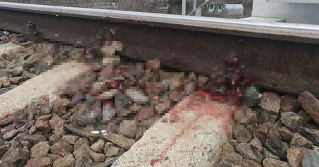 Lublin: Tragedia na torach. Pod kołami pociągu zginął 25-letni mężczyzna