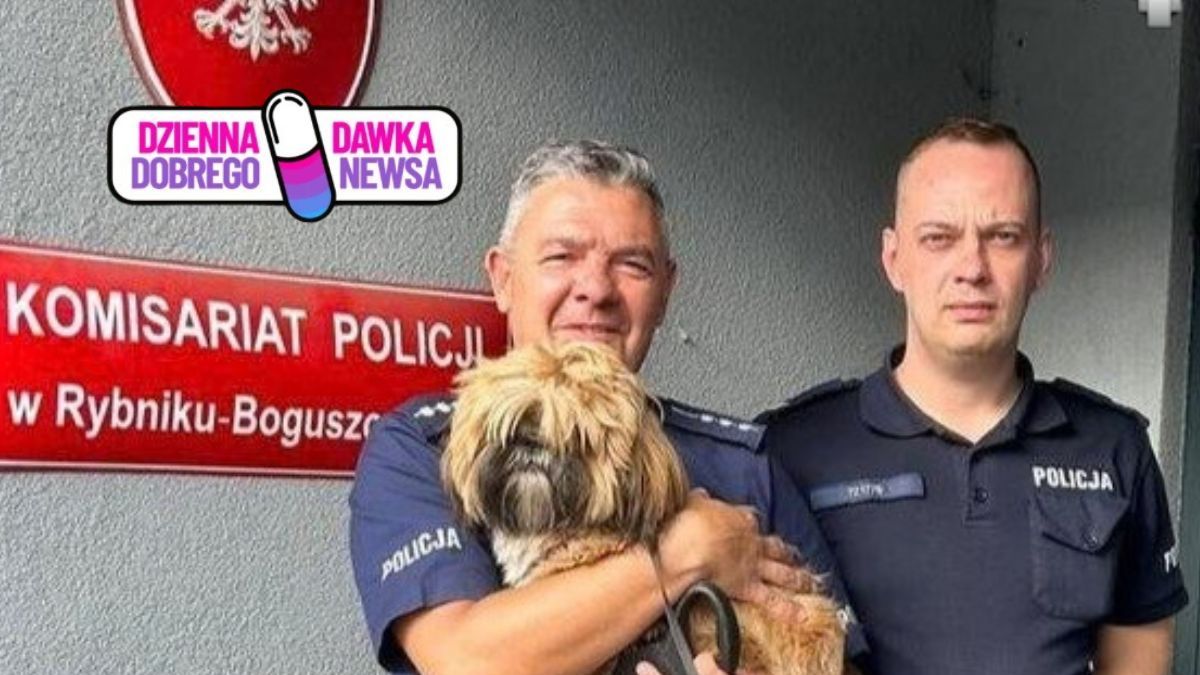 Świadek zaalarmował policję


