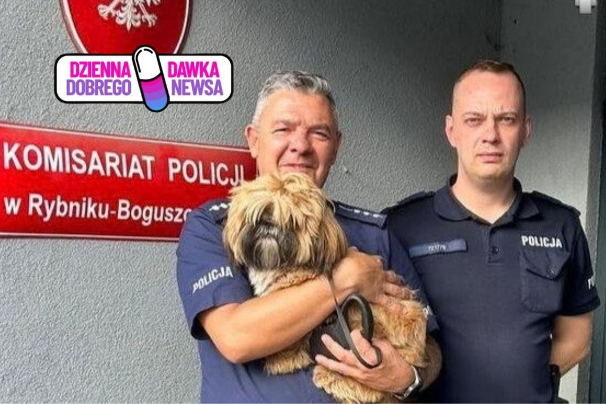 Szedł przez las. Zobaczył go pod drzewem. Zaalarmował policję