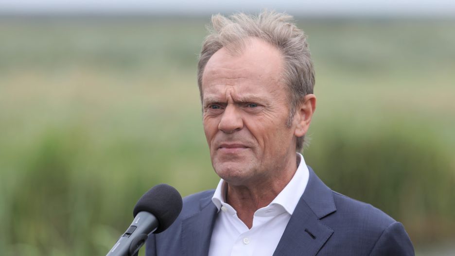 tusk