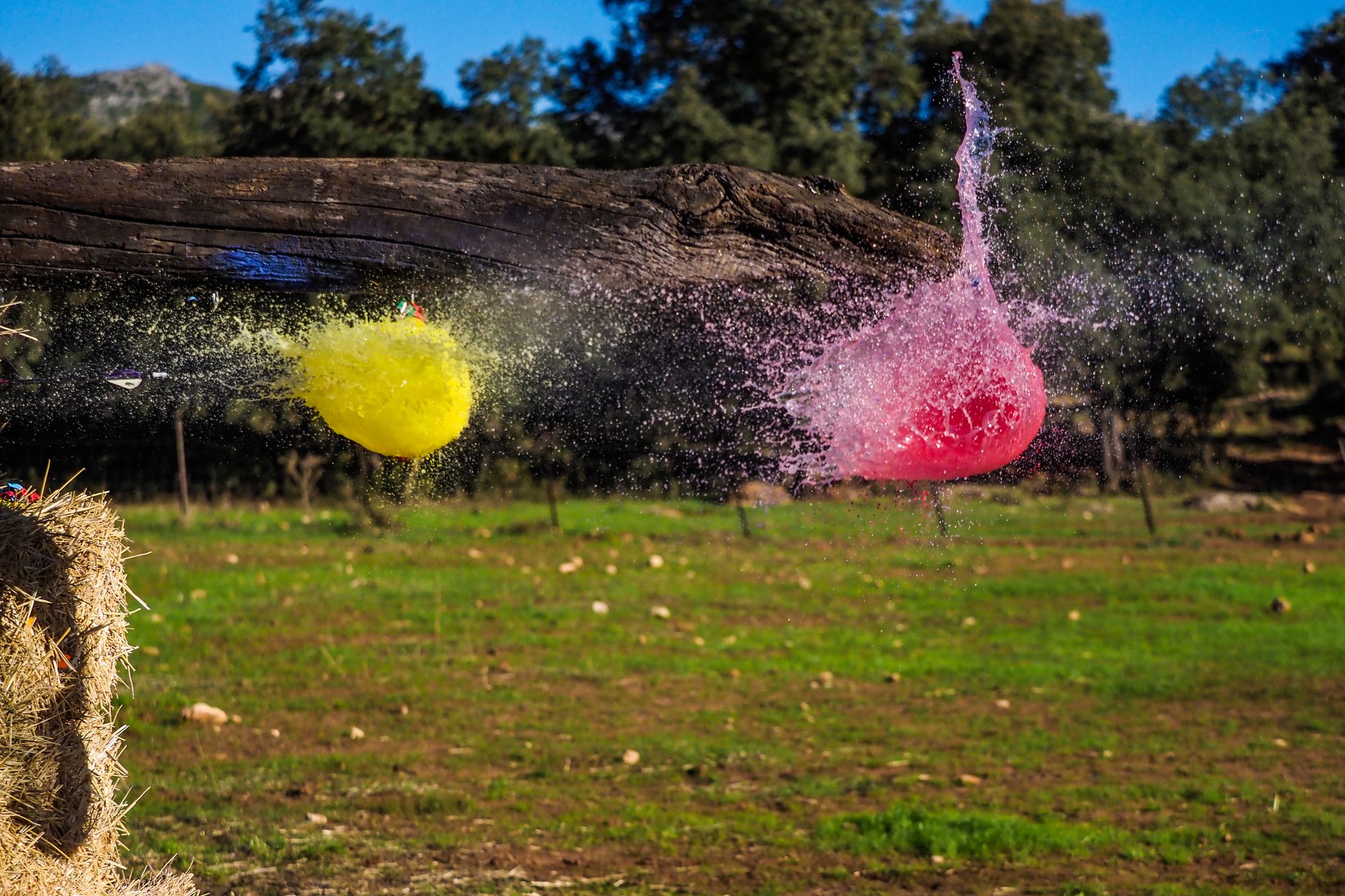 Olympus OM-D E-M1 Mark II - najszybszy na rynku [test] 35