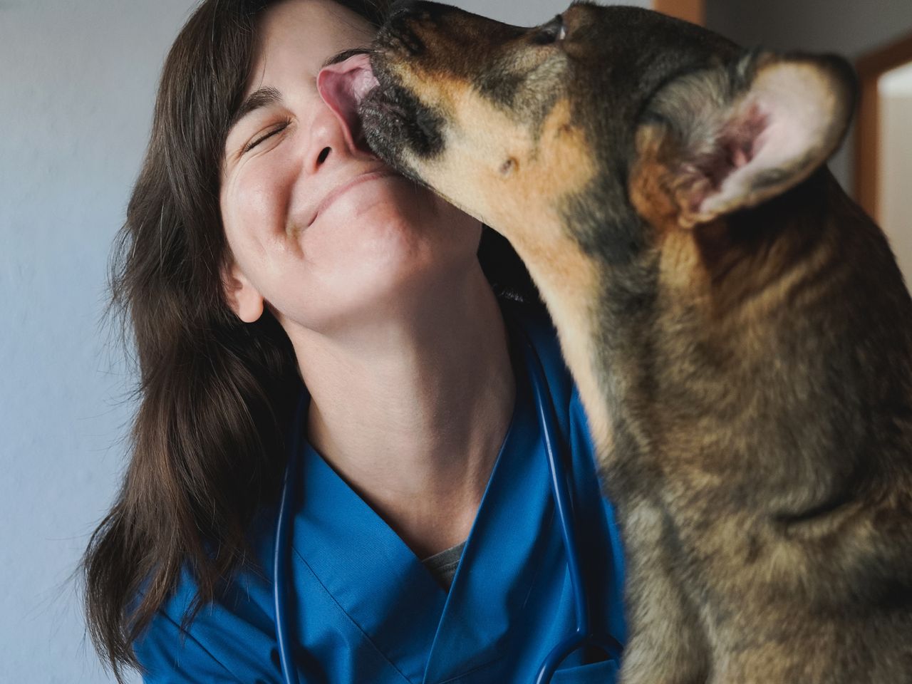 What does it mean when your dog licks your face?