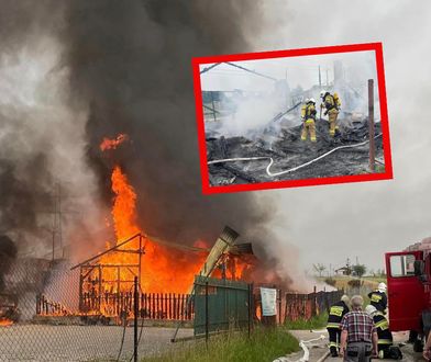 Pożar stadniny koni. Służby znalazły zwęglone zwłoki