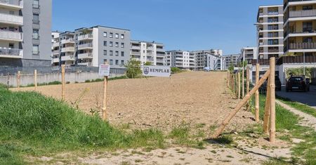 Był rzepak, będą konopie włókniste. Firma z Lublina obsiała pole pomiędzy blokami na środku osiedla