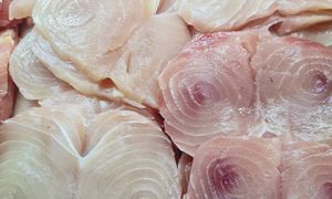 Kumulują toksyny. Od tych ryb lepiej trzymać się z daleka