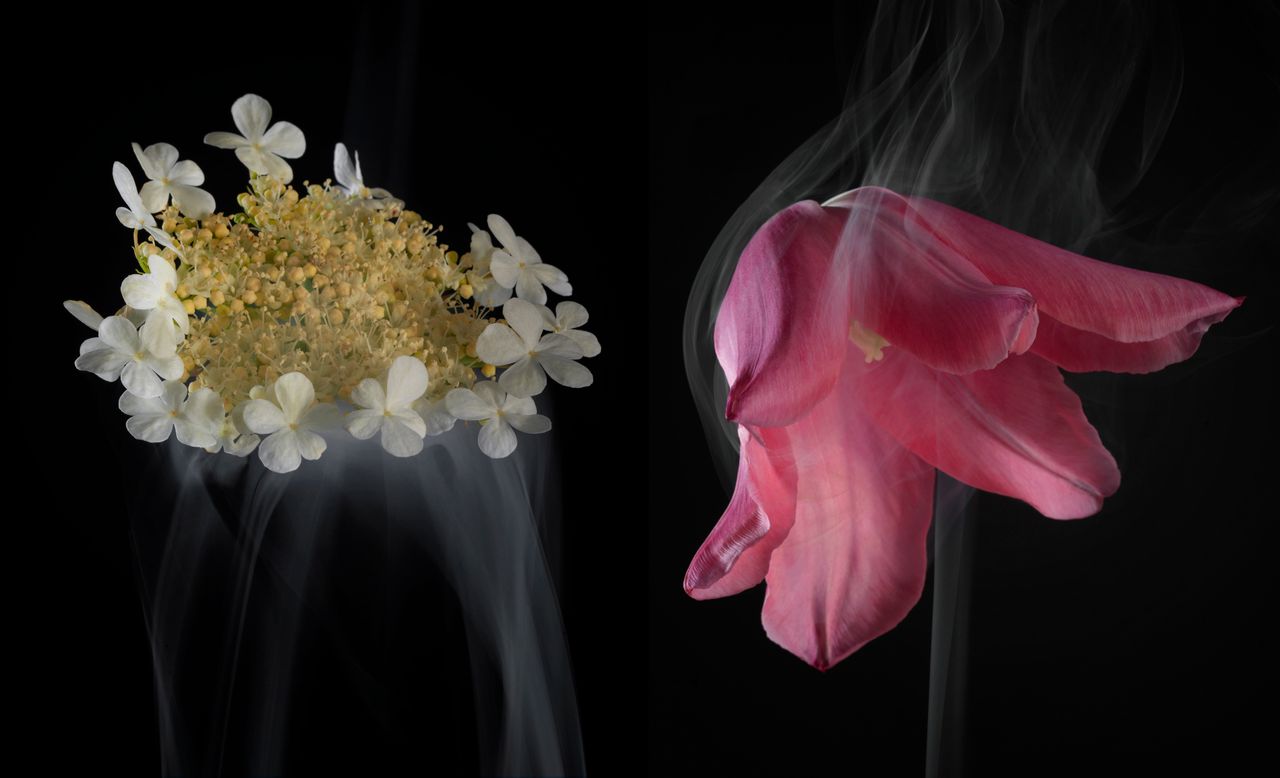 Robert uwielbia fotografować kwiaty. Stworzył serię "Blomen", której głównymi bohaterami są piękne rośliny w towarzystwie delikatnych smużek dymu. Zdjęcia te wykonał HasselblademH3DII-39. Robert przyznaje, że największą trudność sprawiło mu umiejscowienie dymu, tam gdzie to sobie zaplanował.