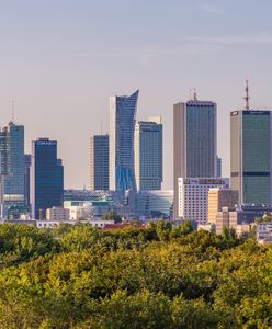 Warszawa. Rusza nowa platforma informacyjna nt. projektu Zielona Wizja Warszawy