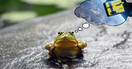 Żabka przestała wspierać klientów InPostu. Dlaczego?