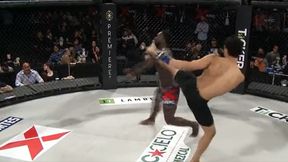 Padł jak rażony piorunem. Niesamowity nokaut w MMA (WIDEO)