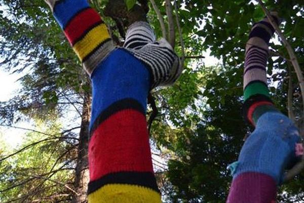 Drzewa w swetrach - co robią na Saskiej?