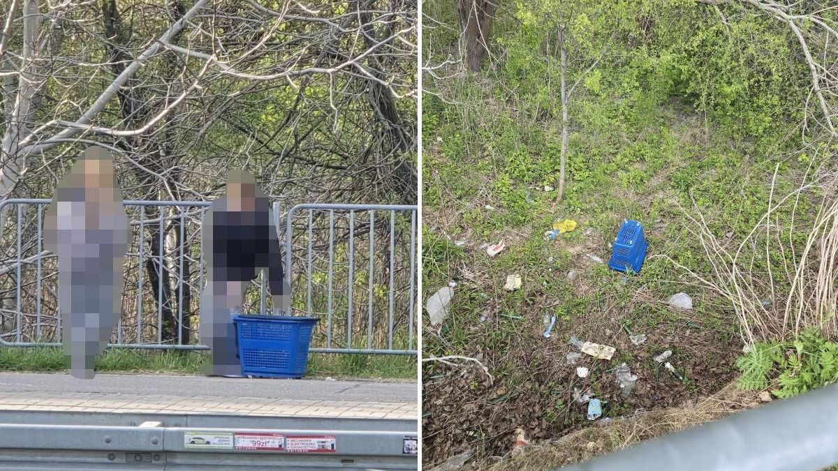 Nastolatek wyrzucił koszyk z Lidla w krzaki za przystankiem Górki Czechowskie 02