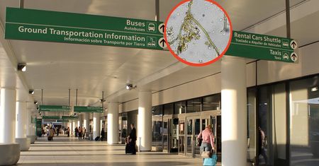 Doktorantka z Wuhan miała plan. Niebezpieczny materiał przechwycony