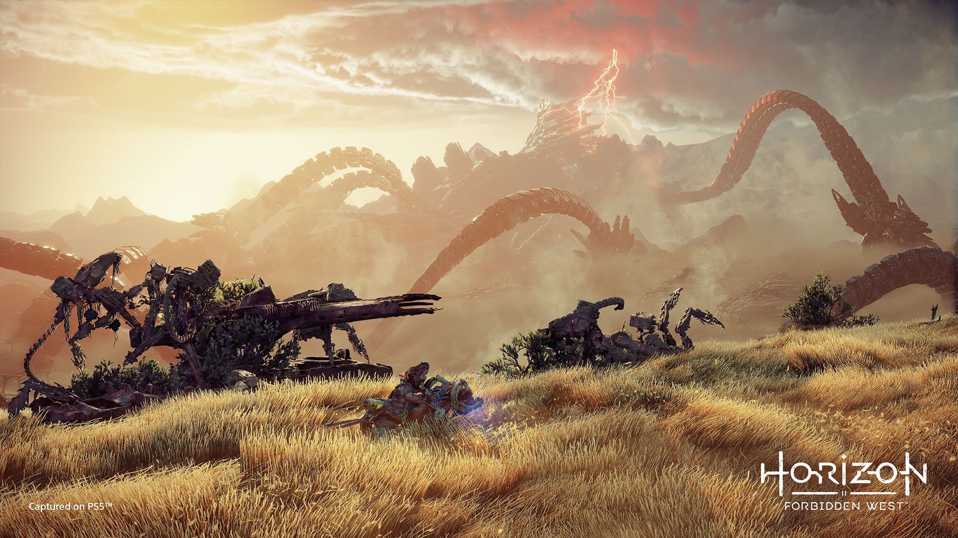PS5 - Horizon Forbidden West