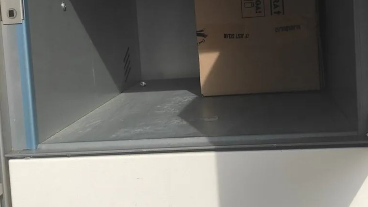 W automacie znaleziono martwego kota.