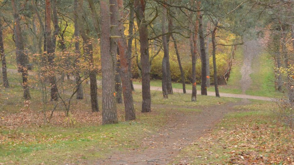 Fot. Daniel Wiśniewski