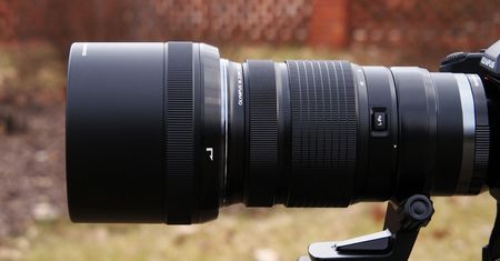 Olympus 40-150 mm f/2,8 (+ TC 1,4×), czyli super małe super tele