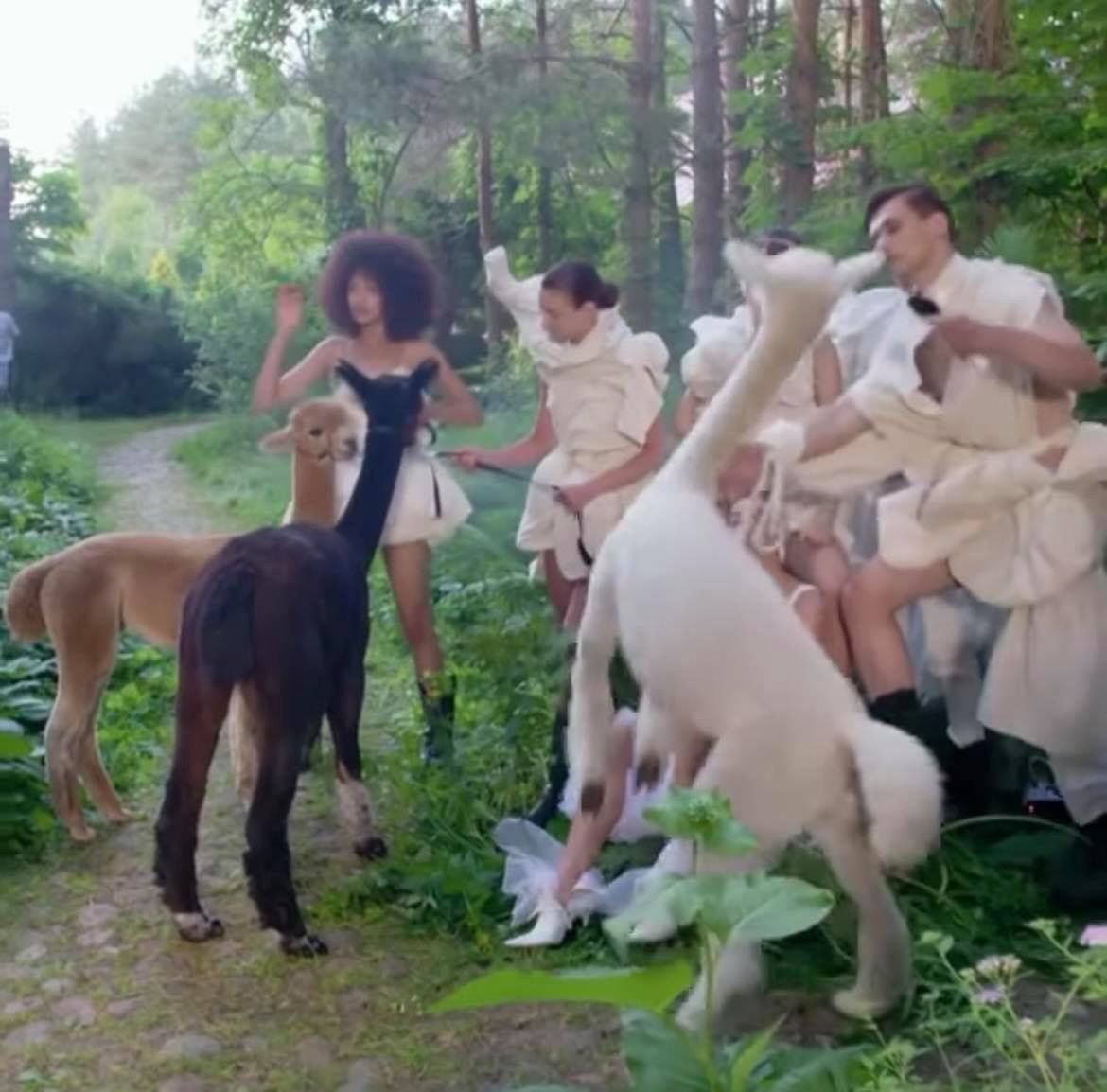 Michał Piróg odpowiada na zarzuty o znęcanie się nad zwierzętami w "Top Model"