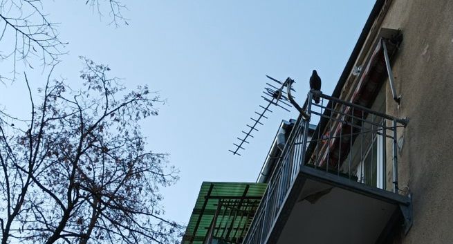 Nadawca kanałów telewizyjnych: Naziemna telewizja cyfrowa jest już martwa