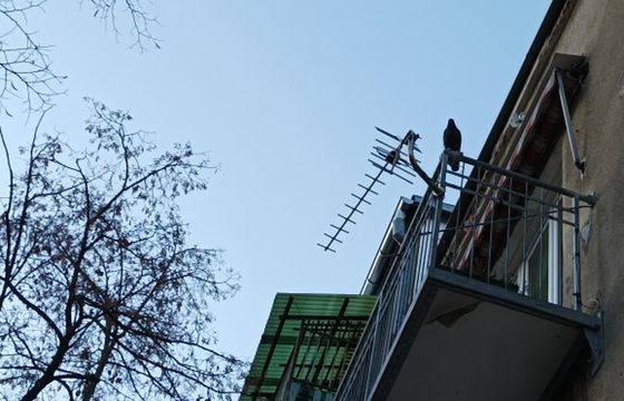 Nadawca kanałów telewizyjnych: Naziemna telewizja cyfrowa jest już martwa