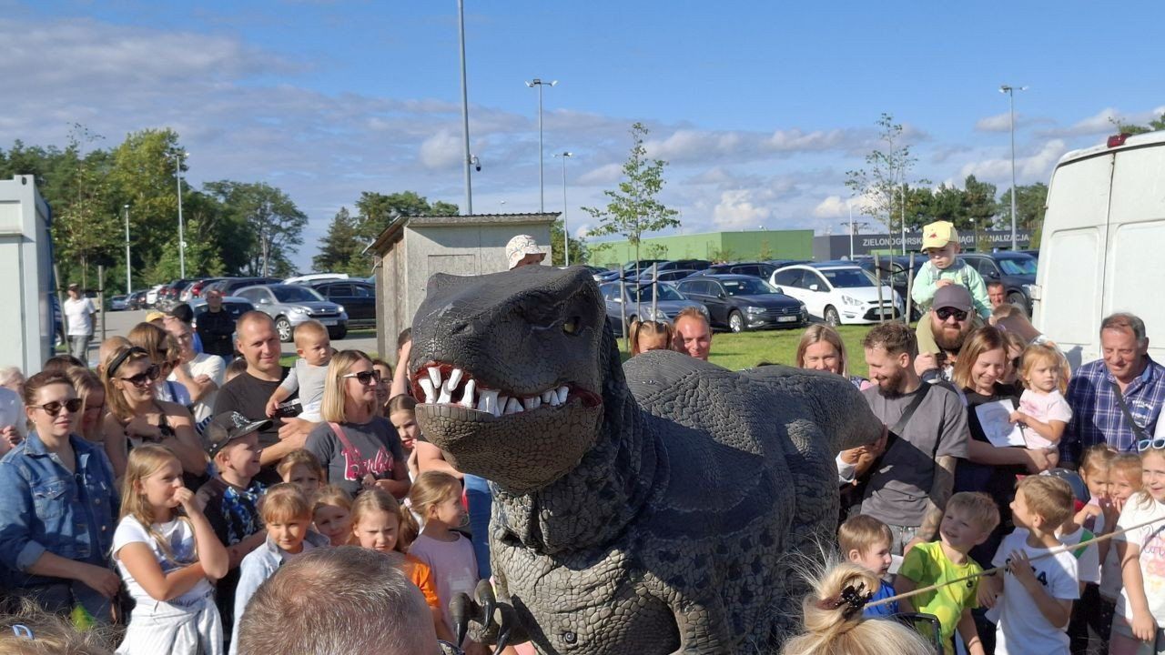 Piraci i dinozaury pod CRS-em. Prehistoryczny gad spacerował wśród zielonogórzan i dał się głaskać!