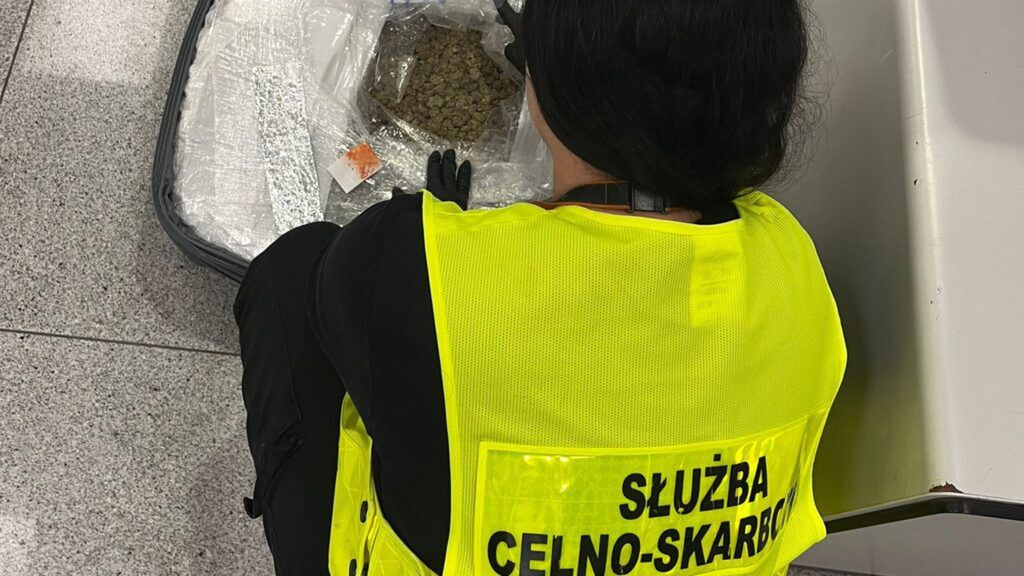 Funkcjonariusz Służby Celno-Skarbowej przeszukuje walizkę na lotnisku, odkrywając pakunek z suszem roślinnym.