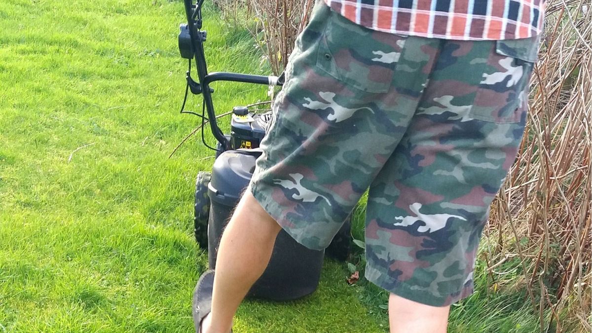 Koszeniem trawy lepiej zająć się w godzinach porannych lub wieczornych.