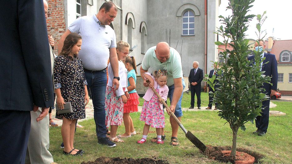 drzewo Wyszyńskiego