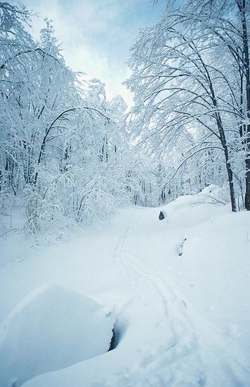 Warunki terenowe