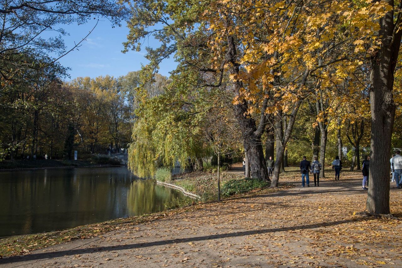 Warszawa: Nowość z Łazienkach Królewskich. Ma zapewnić bezpieczeństwo spacerowiczom