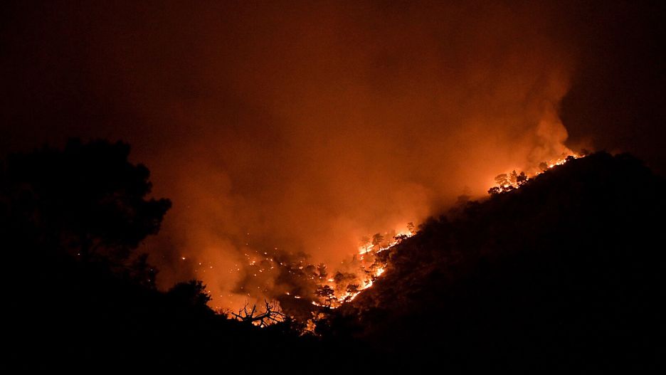 General view of a wildfire in an area in Metochi Sidirountas, Chios island, 02 July 2024. 142 firefighters responded to the fire that broke out on 01 July with 8 forest units, 21 fire trucks, 7 aircraft, and 3 helicopters. EPA/KOSTAS KOURGIAS Dostawca: PAP/EPA.