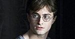 W Indiach coraz mniej sów - przez Harry'ego Pottera