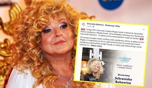 Schronisko Smaków kończy współpracę z Magdą Gessler. Powodem oświadczenie na Facebooku?