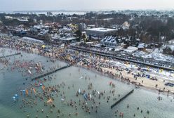 Tysiące morsów przybyły do Mielna. Jedna z największych tego typu imprez na świecie