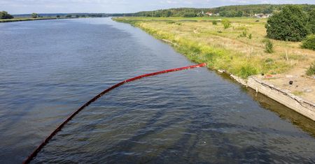 Polacy zaniepokojeni po kontakcie z Odrą. Takie mają problemy
