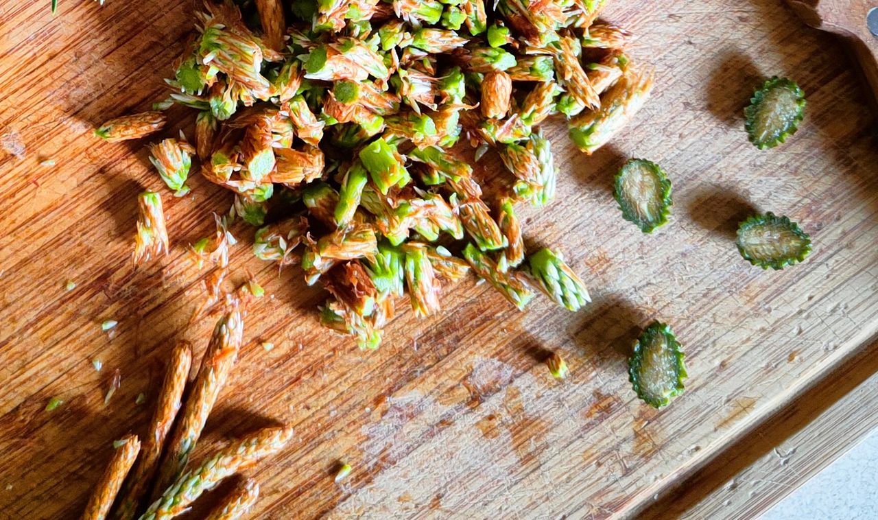 Właśnie zaczyna się sezon na nie. Doskonale wzmacniają zmęczony po zimie organizm