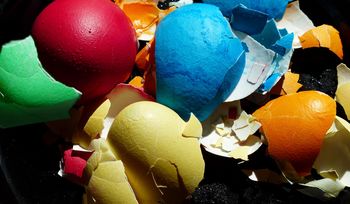 Nie wyrzucaj ich! To kopalnia wapnia, żelaza i siarki