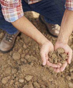 Rolnik emeryt. Taką emeryturę dostanie po 25 latach pracy