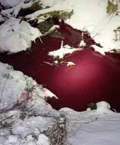 Woda zrobiła się czerwona. Interweniowały służby