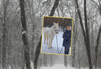 Leśnik aż chwycił za telefon. Prowadziła konia na smyczy