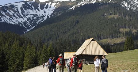 Tatry. Turysta chciał zrobić selfie z niedźwiedziem. Został ugryziony