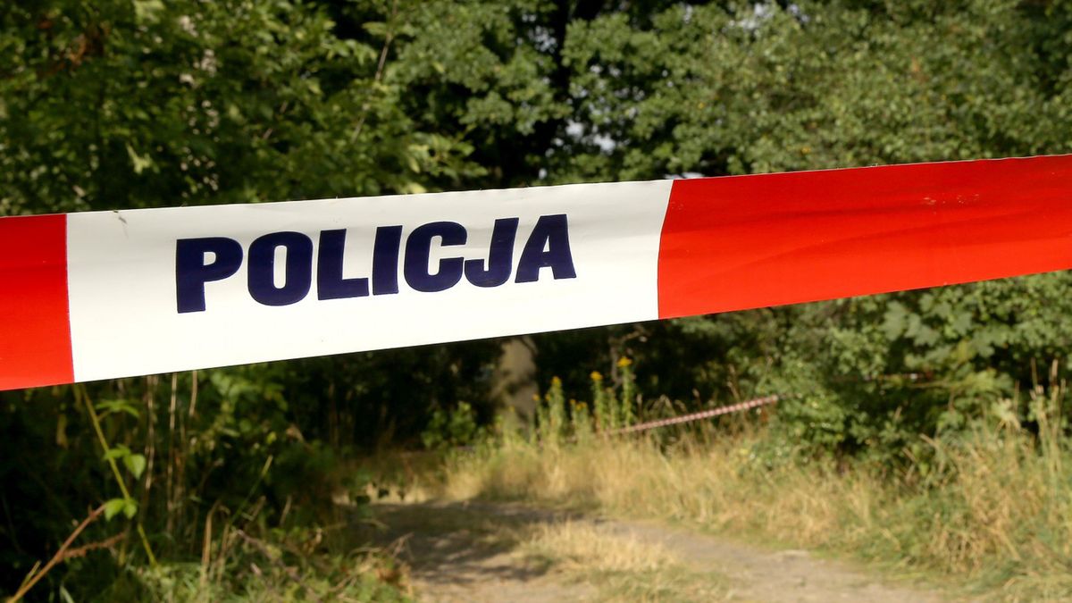 policja